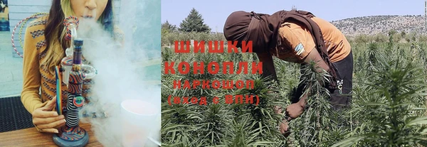ешки Богданович