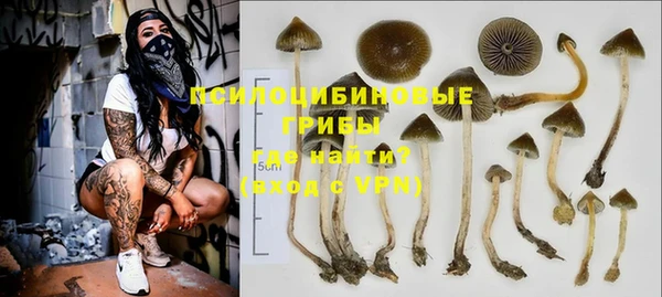 МДМА Богородск