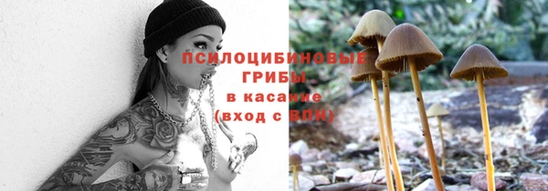 соль ск Богородицк