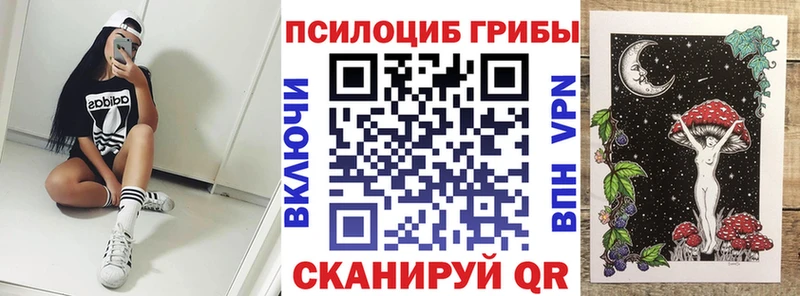 блэк спрут вход  Славгород  Галлюциногенные грибы прущие грибы 