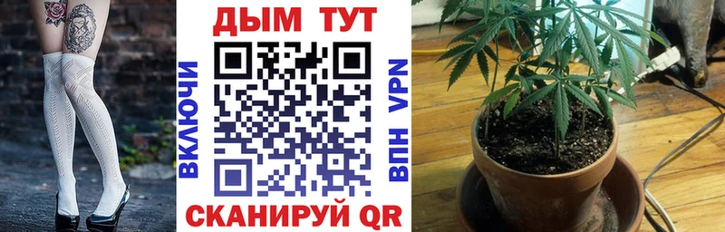 Шишки марихуана OG Kush Славгород